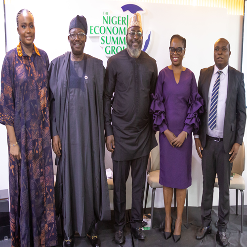 NESG, Think-Tank, NESG Nigeria, The Nigerian Economic Summit Group